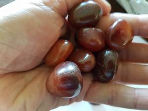 Hovedbilde agat - brasil r&oslash;d