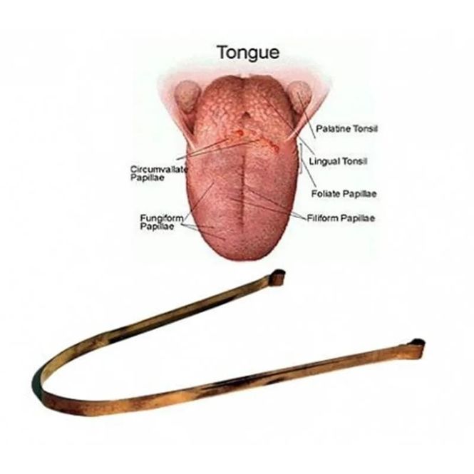 Hovedbilde Tungeskraper - Tongue scraper ...