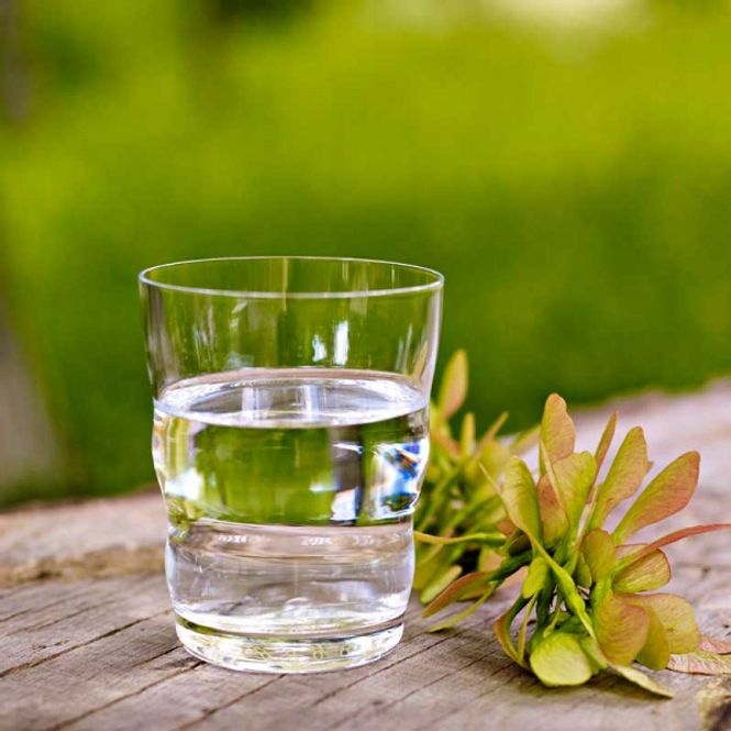 Hovedbilde Vital Drikkeglass med Flower ...