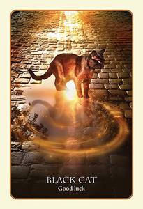 Hovedbilde Divination of the Ancients - ...