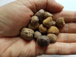 Hovedbilde granat india r&aring;