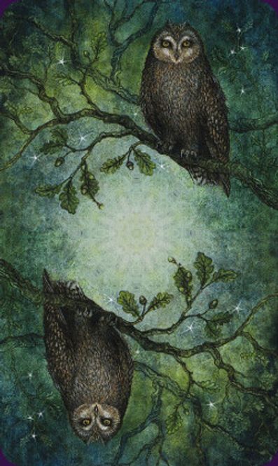 Hovedbilde Forest of Enchantment Tarot - ...