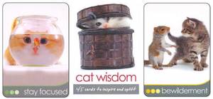 Hovedbilde Cat Wisdom Cards - Toni ...