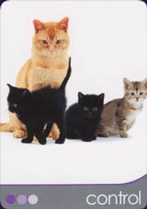 Hovedbilde Cat Wisdom Cards - Toni ...