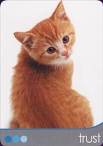 Hovedbilde Cat Wisdom Cards - Toni ...