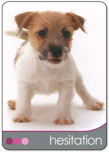 Hovedbilde Dog Wisdom Cards - Tony ...