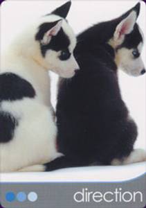 Hovedbilde Dog Wisdom Cards - Tony ...
