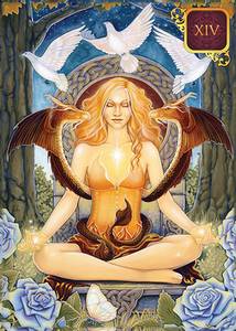 Hovedbilde Dreams of Gaia Tarot Pocket - ...
