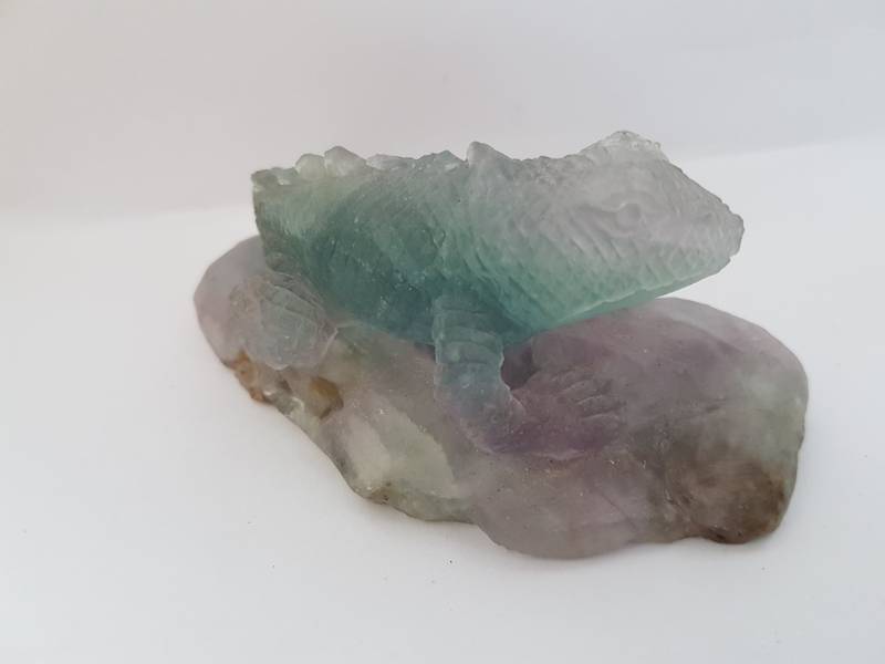 Fluoritt Firfisle - Fluorite Lizard